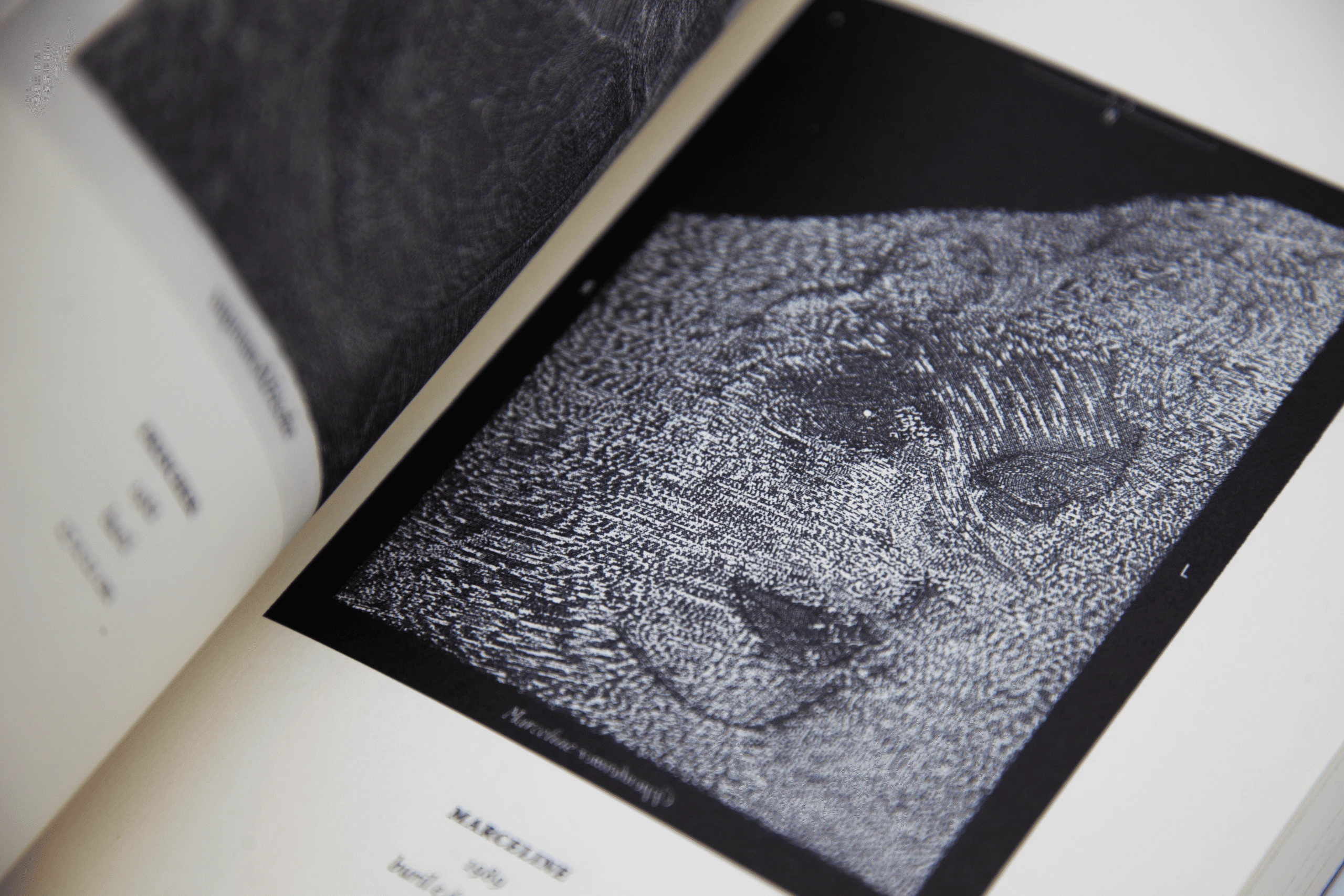 n-1 | trabalhos diversos